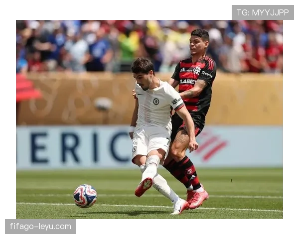 南美足球赛季冲刺阶段：数据分析揭示冠军热门与球队表现新趋势