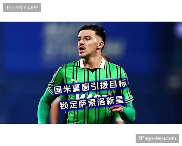 德甲转会窗口最新动态：多队引援动作频频，夏窗竞争格局初显